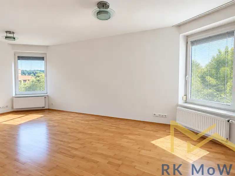 Pronájem rodinného domu 336 m², pozemek 850 m²